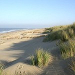 Texel Strand mit Dünen